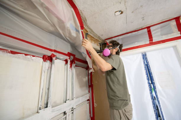 Best Mold Odor Removal Services  in Vinton, LA